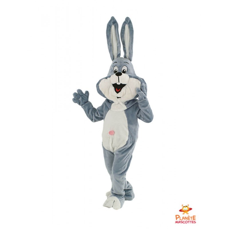 Costume de mascotte lapin de personnage de dessin animé, costumes de  cosplay de carnaval, kits de