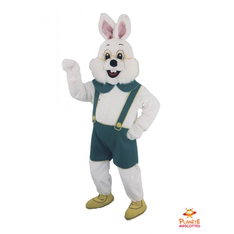Costume de lapin de Pâques  Mascotte de lapin de Pâques sur tout