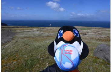 Adélie, la mascotte du Vendée Globe