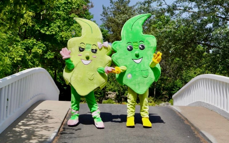 Taille idéale pour porter une mascotte – exemple de deux costumes de mascottes côte à côte | Planète Mascottes